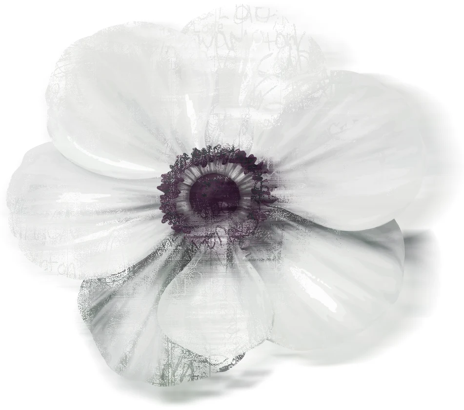 VALKYN anemone symbol