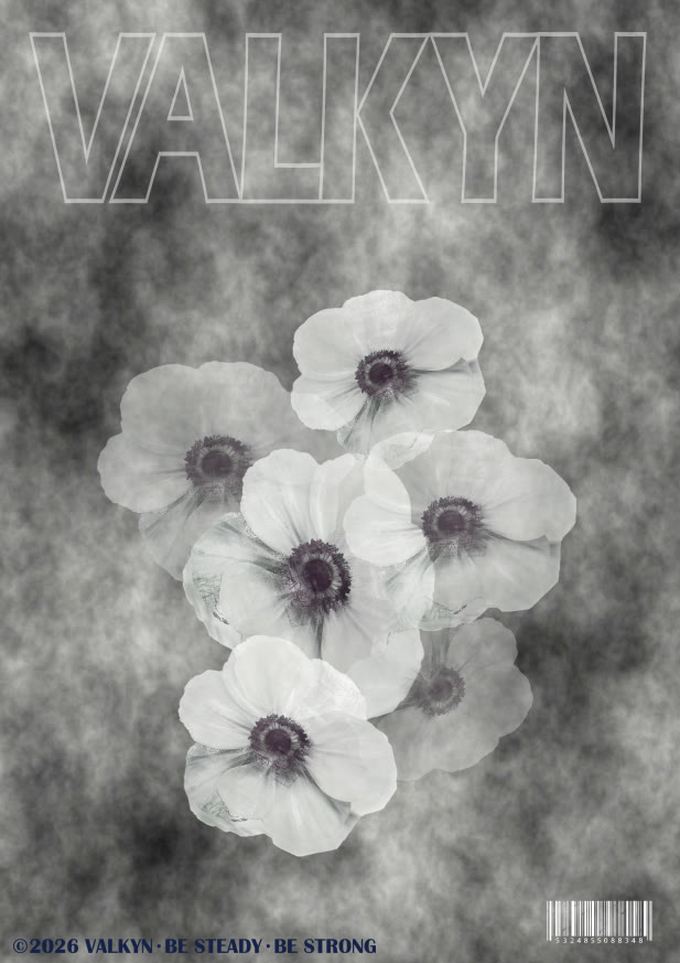 VALKYN anemone poster