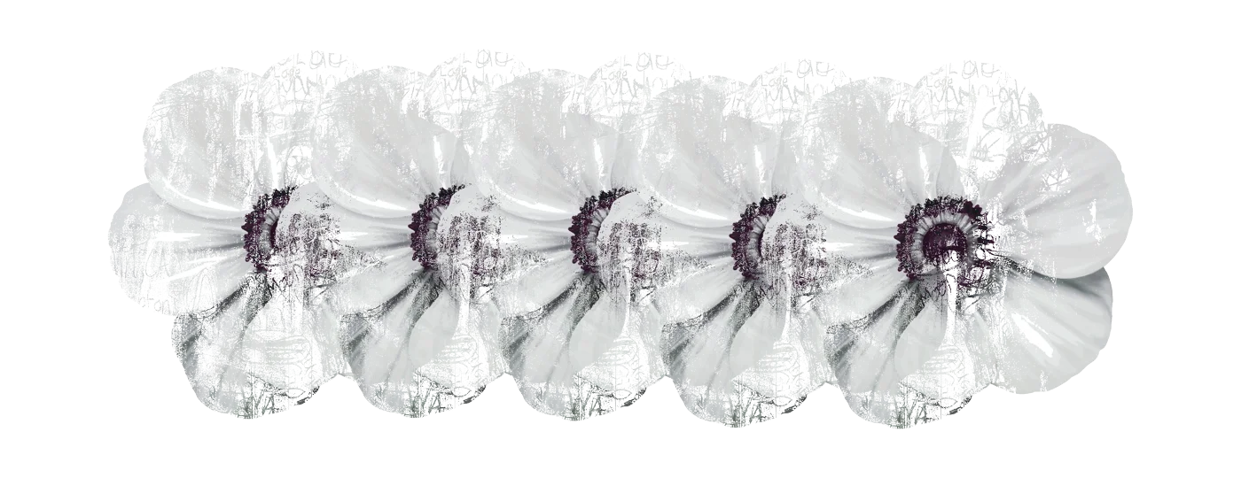 Anemone artwork