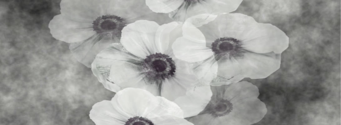 Anemone smoke artwork